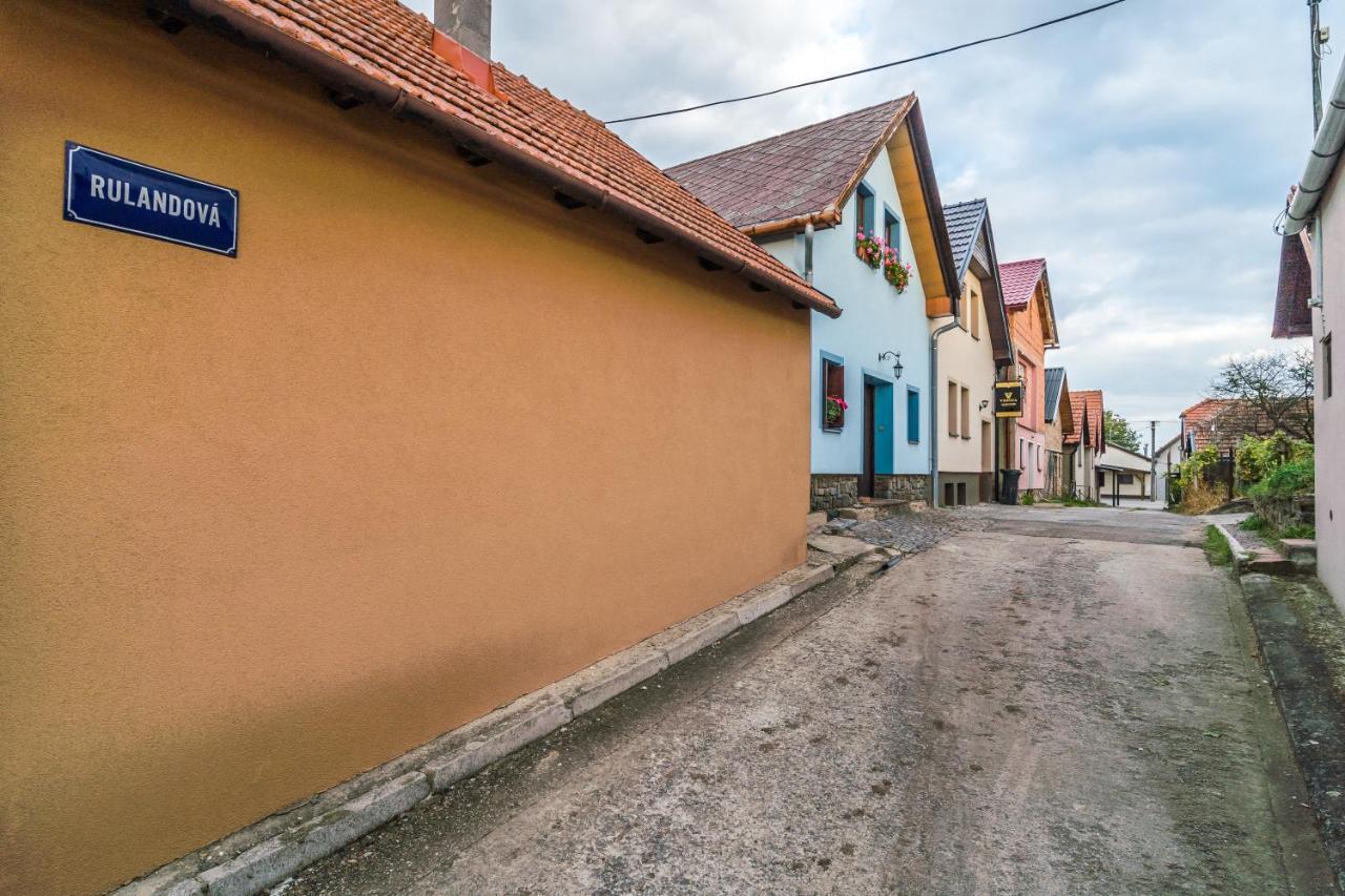 Vinoza - Ubytovani A Vinny Sklep Velke Bilovice Rulandova Экстерьер фото