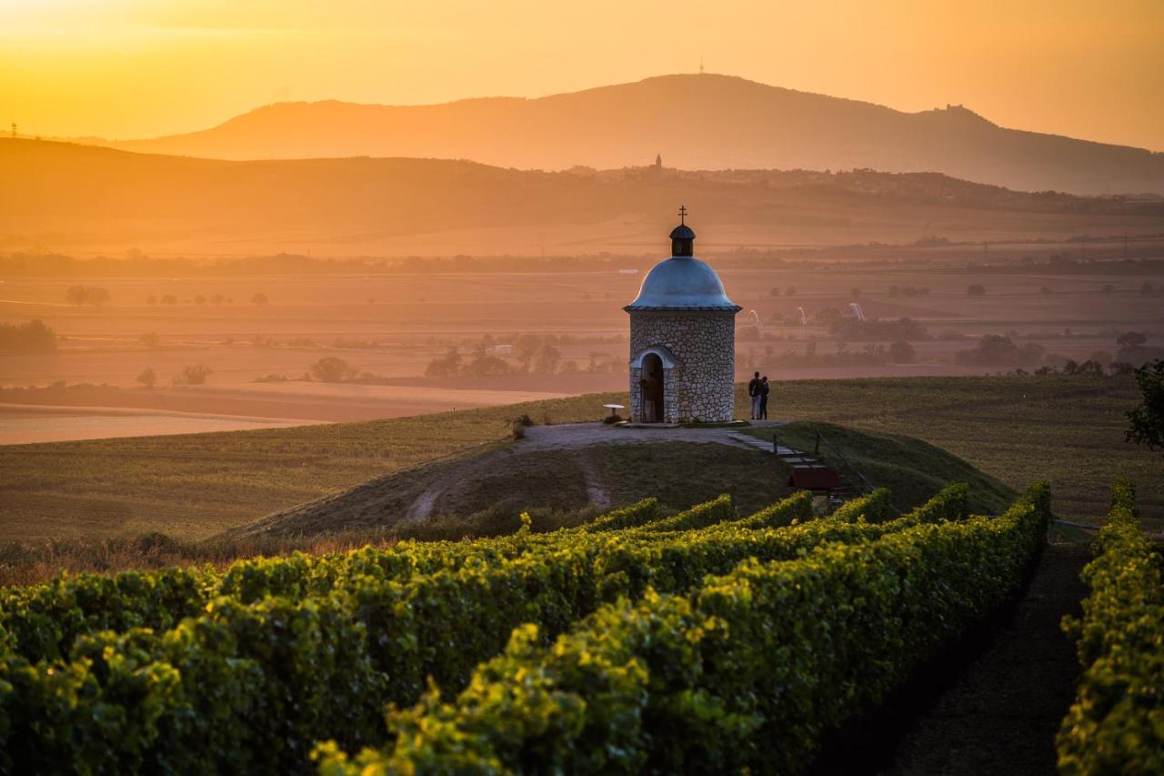 Vinoza - Ubytovani A Vinny Sklep Velke Bilovice Rulandova Экстерьер фото