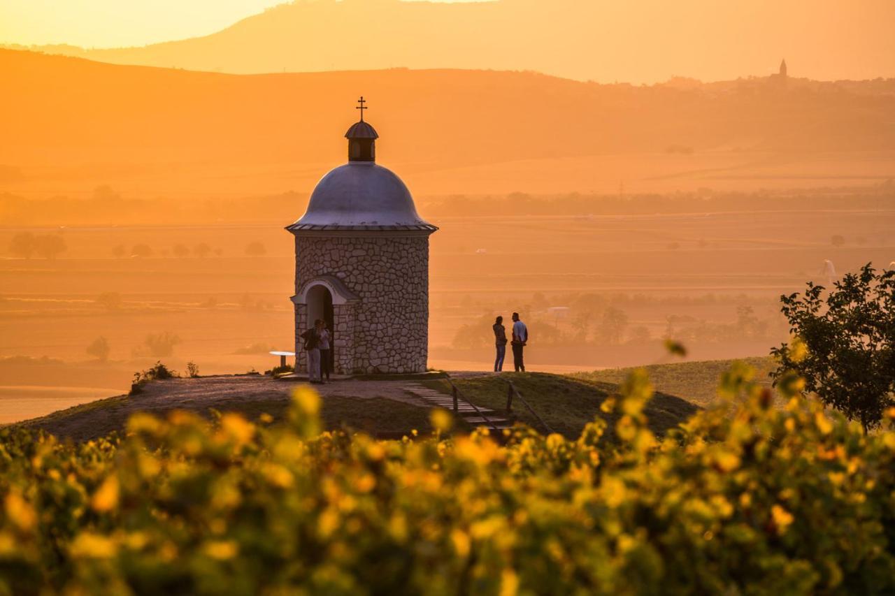 Vinoza - Ubytovani A Vinny Sklep Velke Bilovice Rulandova Экстерьер фото