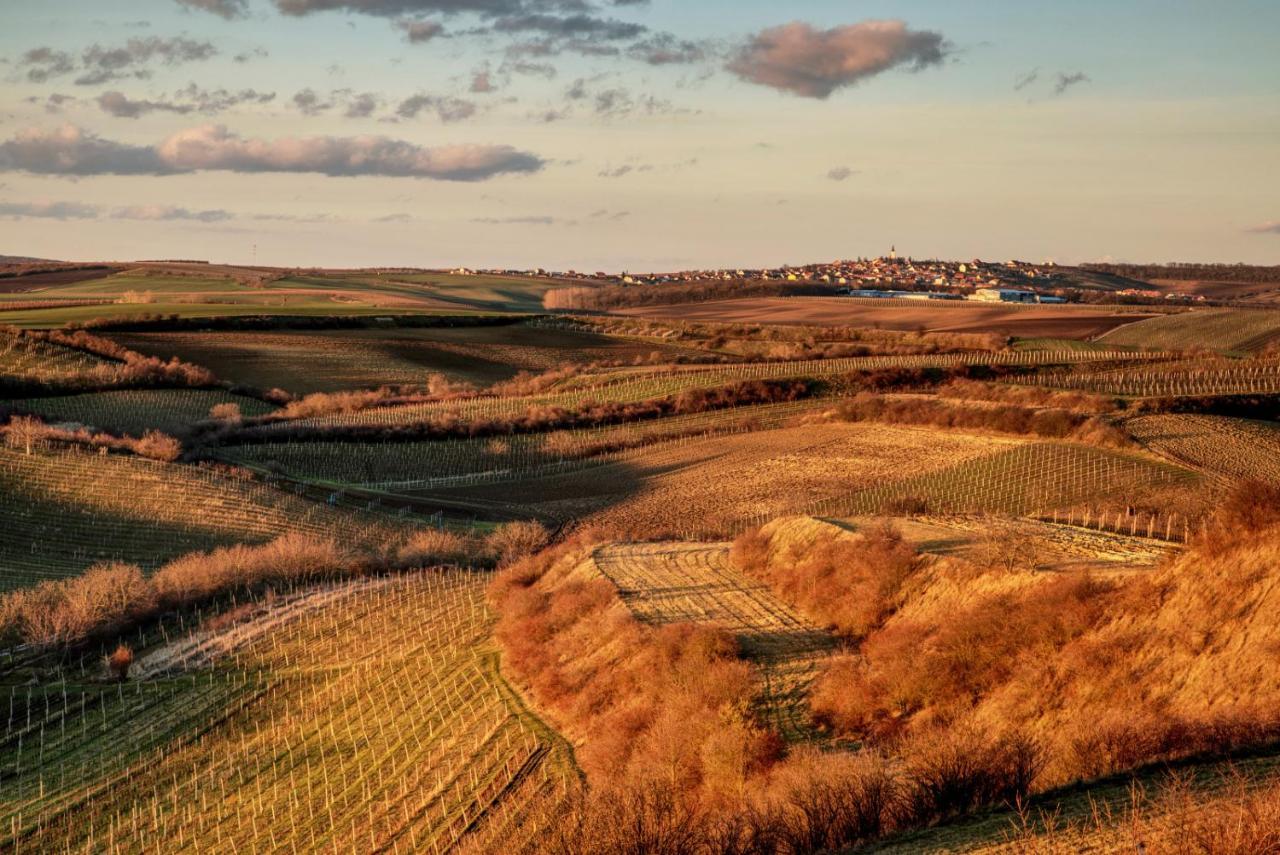 Vinoza - Ubytovani A Vinny Sklep Velke Bilovice Rulandova Экстерьер фото
