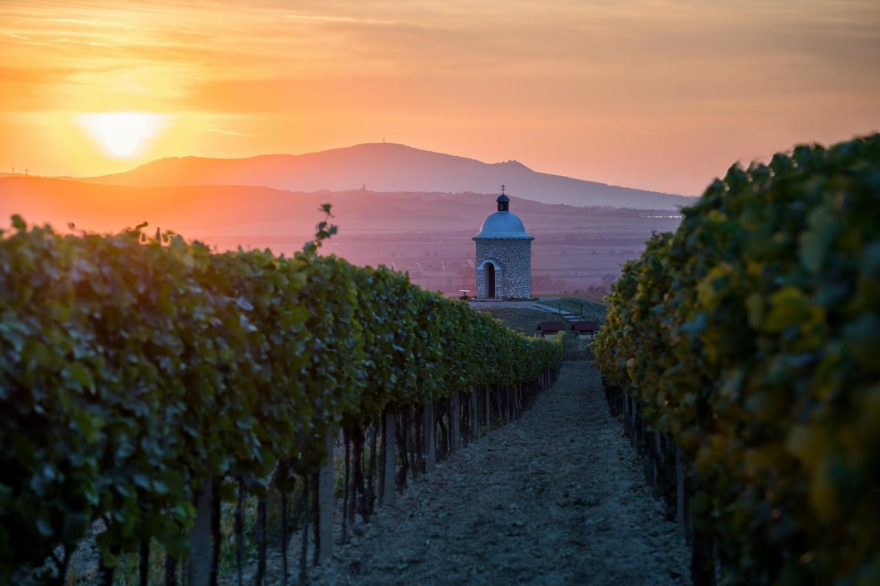 Vinoza - Ubytovani A Vinny Sklep Velke Bilovice Rulandova Экстерьер фото